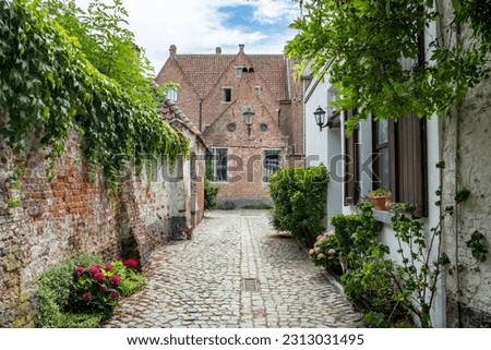 Empty Cobblestone street or laneway in the Groot Begijnhof, the large beguinage of the medieval city of Mechelen, Flanders, Antwerp, Belgium . High quality photo