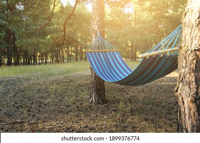 Empty comfortable blue hammock hanging in forest