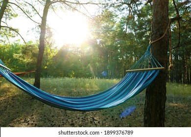 Empty comfortable blue hammock hanging in forest