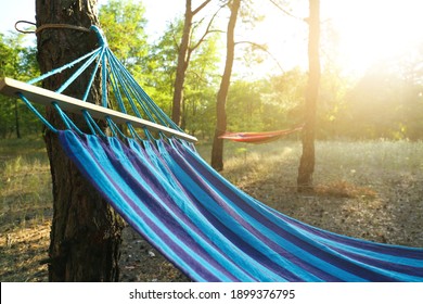 Empty comfortable blue hammock hanging in forest