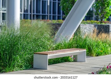 Empty concrete bench with wooden slats for sitting on tile among decorative grass and flowers in recreation area near modern office building. Garden landscape with chair in city park