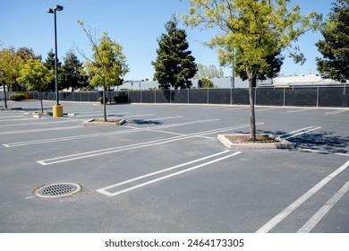 Empty concrete parking lot in the city with white markings and trees - Powered by Shutterstock