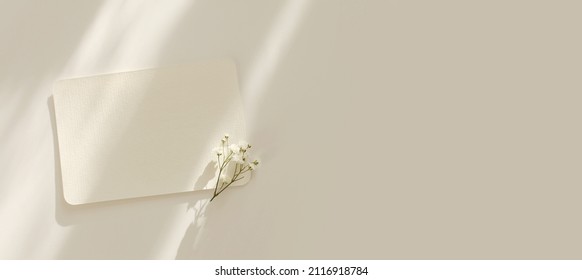 Empty copy space Blank texture canvas paper card with gypsophila flower. Light and shadows minimalism style template background. Flat lay, top view. Beige color. - Powered by Shutterstock