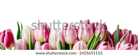 Empty, copyspace banner, image for website, desktop, mockup, wallpaper. International Women's Day. March 8. Tulip flowers isolated on white background. Bouquet. Holiday. Congratulation