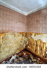 empty corner with wallpaper
