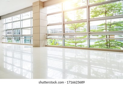 Leerer Korridor im modernen Bürogebäude mit grünem Baum vor dem Fenster.