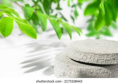 Empty cosmetic stage made of gray concrete in the shape of a circle with green leaves and abstract shadow. - Shutterstock ID 2173108443