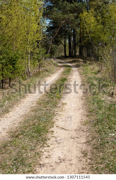 empty country gravel road with\
mud puddles and bumps. dirty road surface with sand and small\
stones