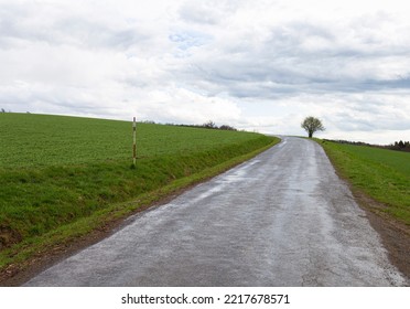 Empty Country Road Between Fields