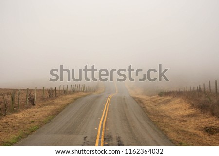 Empty country road disappears into thick fog