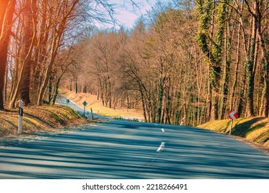 Empty Country Road In Early Spring