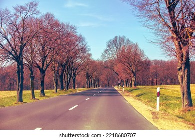 Empty Country Road In Early Spring