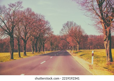 Empty Country Road In Early Spring