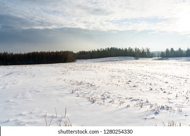 Empty Countryside Landscape In Sunny Winter Day With Snow Covering The Ground, Abstract Background With Deep Look - Concept Of Fun And Joy