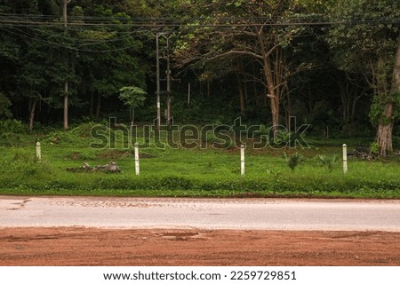 Empty countryside road, side view on the island of Ko Lanta in Krabi, Thailand