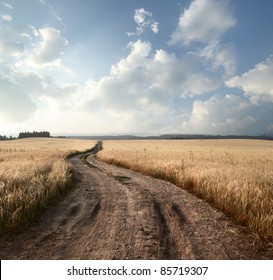 Empty countryside road through fields with wheat