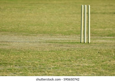 Empty Cricket Pitch To Play