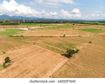 Empty Crop Field Near Rural Village In Asian Country