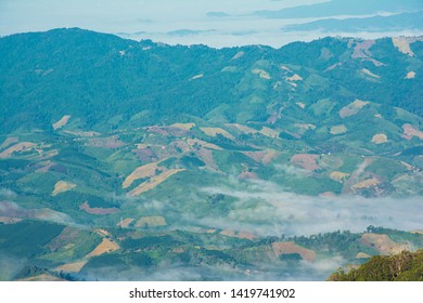 Empty Crop Field Next To Mountain In Asian Country