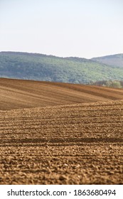 Empty Crop Fields In Hungary