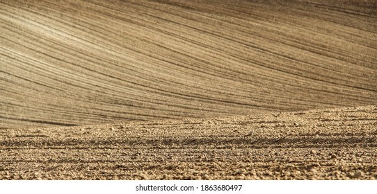 Empty Crop Fields In Hungary