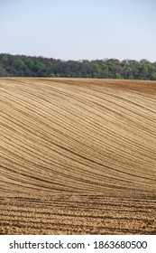 Empty Crop Fields In Hungary