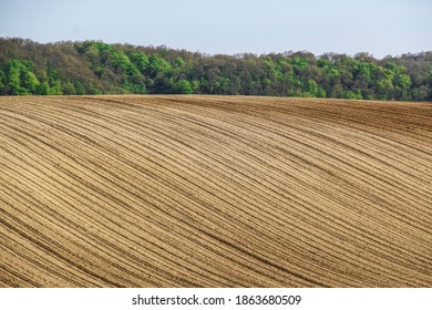 Empty Crop Fields In Hungary