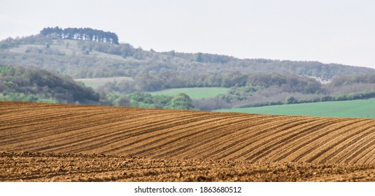 Empty Crop Fields In Hungary