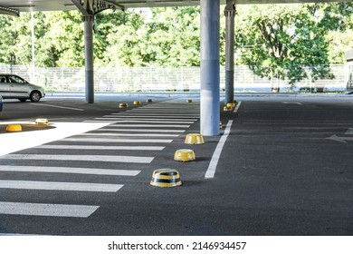 Empty Crosswalk With Parking Limiters Under Canopy