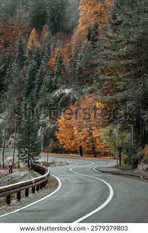 Empty curvy road surrounded by autumn trees near Kranjska gora in Slovenia