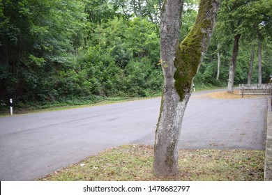 empty dark forest parking lot