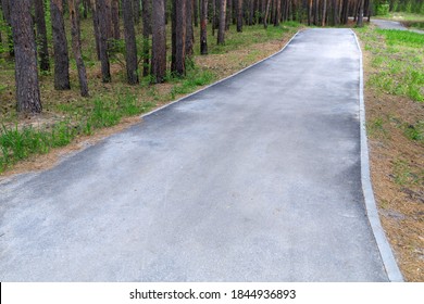 empty deserted asphalt path for walking in the park. place for walking in nature