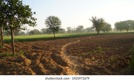 Empty Desolate Agriculture Field. Farm Without Crops In India. New Farm Bill Protest In India And Adverse Condition In Agriculture GDP Growth.