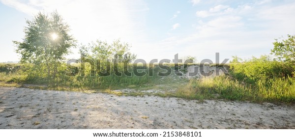 An empty dirt country road through the field and\
forest on a sunny summer day. Green trees, sand texture close-up.\
Rural scene. Latvia, Europe. Transportation, off-road, countryside,\
remote places