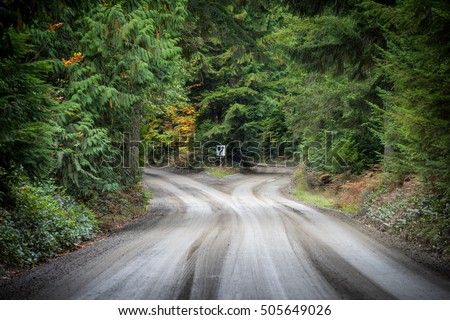 Empty dirt road which splits in two, concept for life choices or decisions