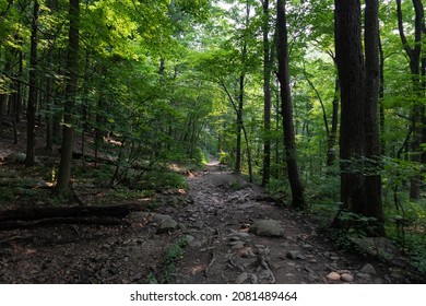 Empty Dirt Trail In The Forest At Hudson Highlands State Park In Cold Spring New York