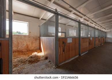 An Empty, Dirty Horse Stable