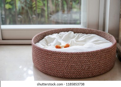 An Empty Dog Bed Basket With Only Dog Bone Snack Left On The Bed With Copy Space; Concept For Missing Dog