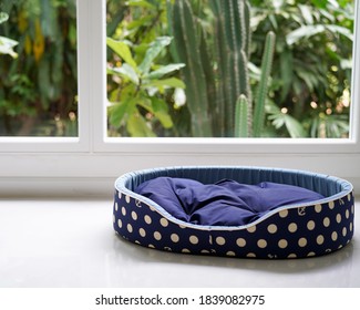 An empty dog bed in white room with garden background with copy space
