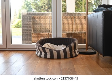 An Empty Dog Cat Bed Next To Window In Home Interior With Copy Space