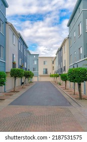 Empty Driveway In The Middle Of Residential Buildings At Silicon Valley, San Jose, California. Townhouse Buildings With Garage At The Ground Floor With Topiary Shrubs At The Front Of The Doors.