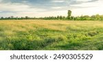 Empty dry cracked swamp reclamation soil, land plot for housing construction Green meadow, beautiful views and beautiful blue sky with fresh air Land for sales landscape concept.