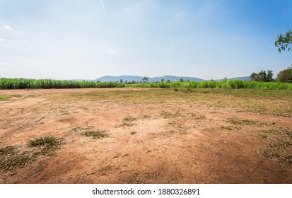 Empty dry cracked swamp reclamation soil, land plot for housing construction project with car tire print in rural area and beautiful blue sky with fresh air Land for sales landscape concept. - Shutterstock ID 1880326891