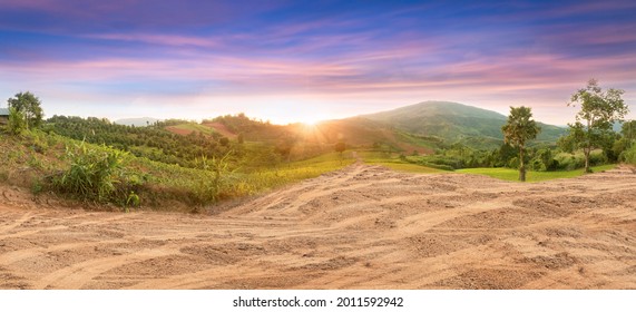 Empty dry cracked swamp reclamation soil, land plot for housing construction project with car tire print in rural area and beautiful blue sky with fresh air Land for sales landscape concept