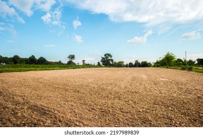 Empty dry cracked swamp reclamation soil, land plot for housing construction project with car tire print in rural area and beautiful blue sky with fresh air Land for sales landscape concept.