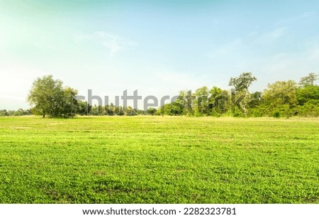 Empty dry cracked swamp reclamation soil, land plot for housing construction Green meadow, beautiful views and beautiful blue sky with fresh air Land for sales landscape concept.