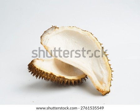 Empty Durian Fruit Shell Halves with White Interior Isolated on White Background