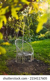 Empty Egg Chair With Tinsels On Tree Branch In Spring Garden