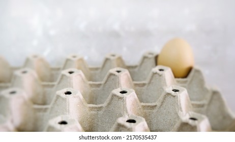 An empty egg tray with just one egg - Powered by Shutterstock