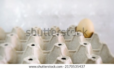 An empty egg tray with just one egg